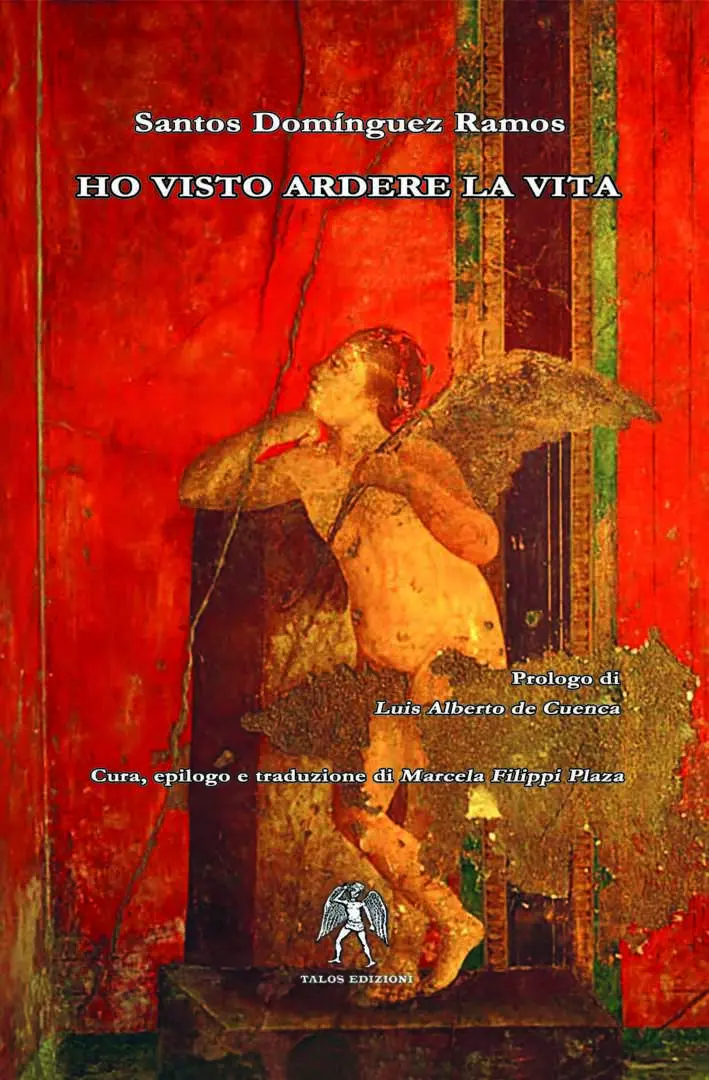Ho visto ardere la vita
